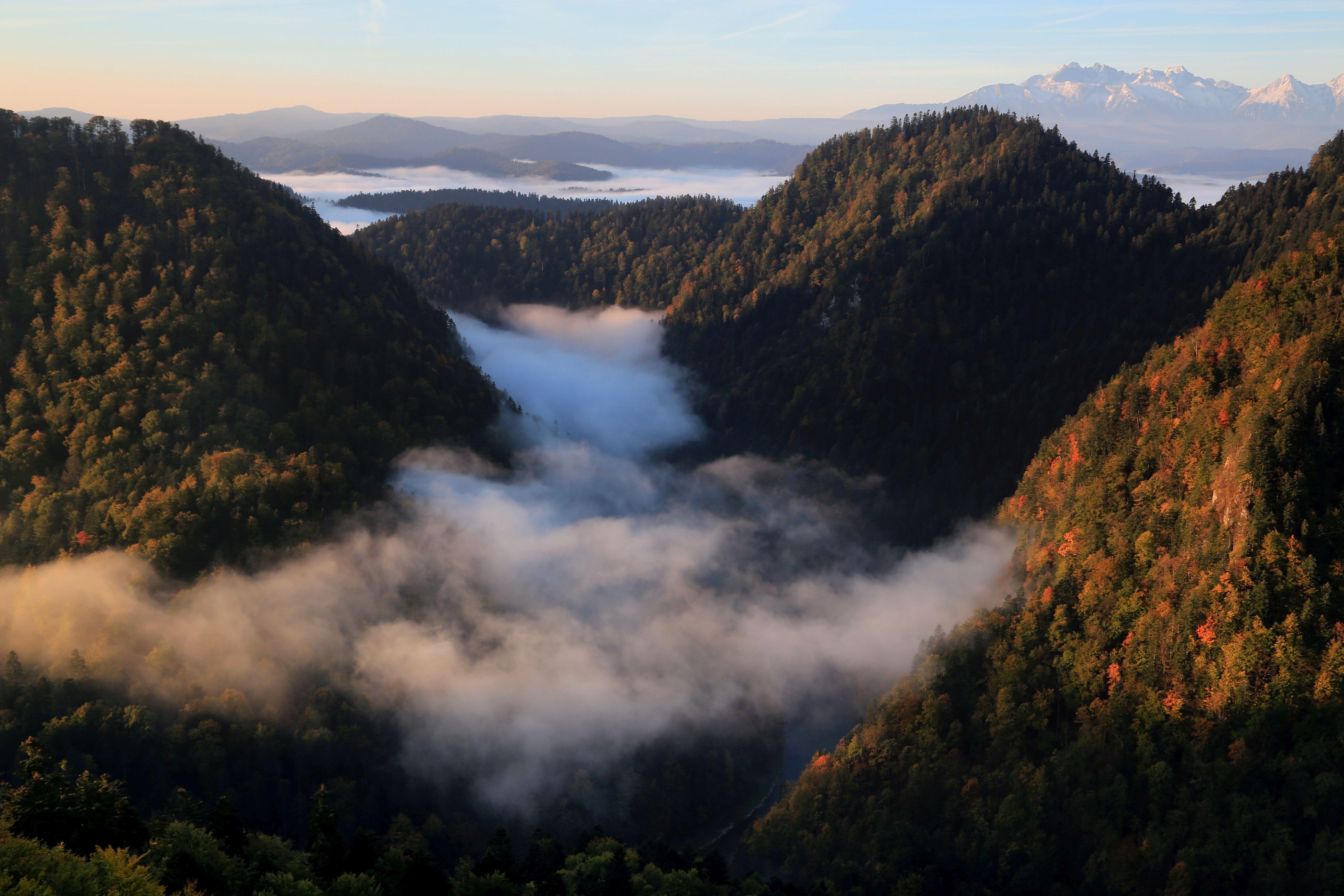 Carpathian Biodiversity Framework | Convention on Biological Diversity