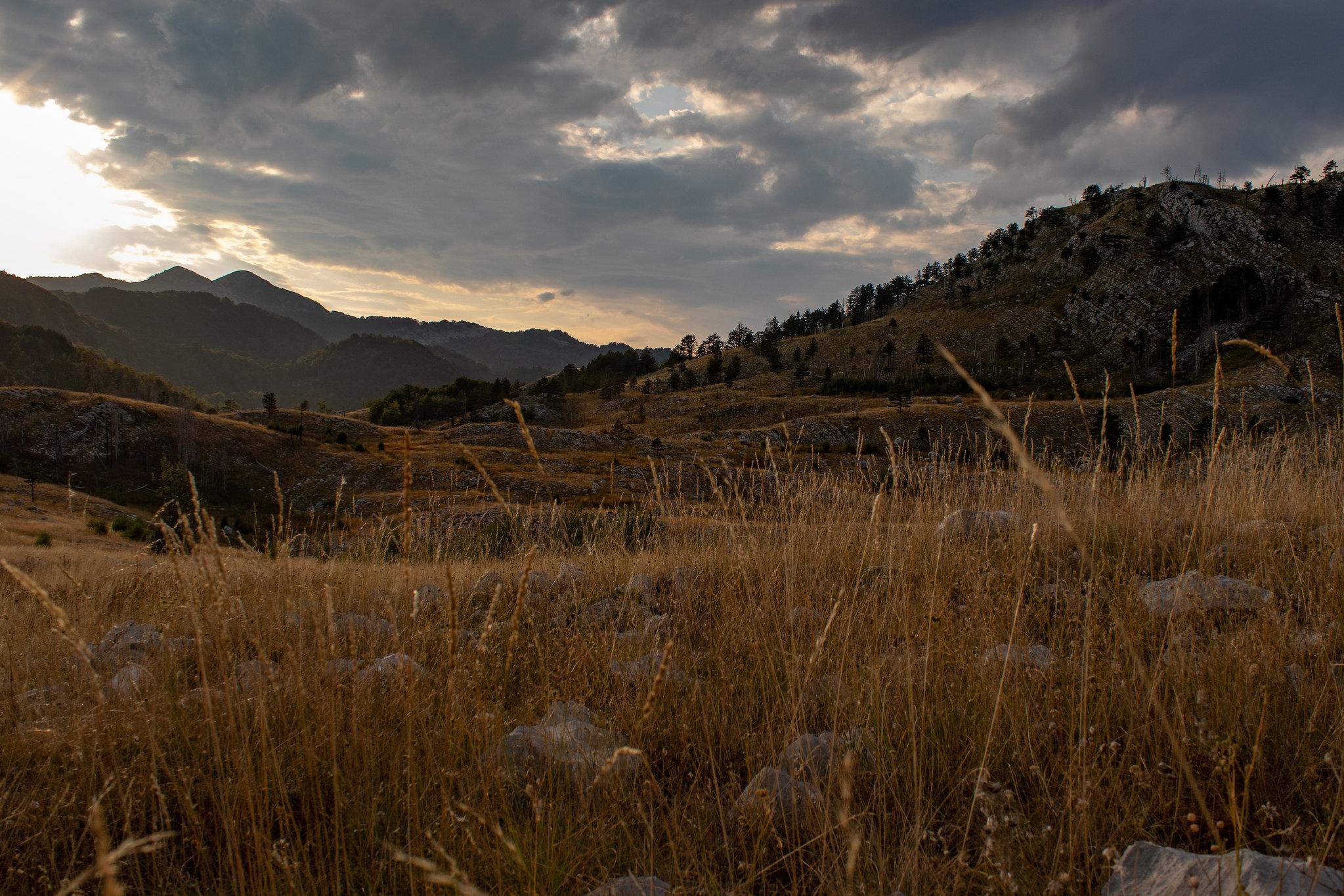 Start of Orjen BiH project