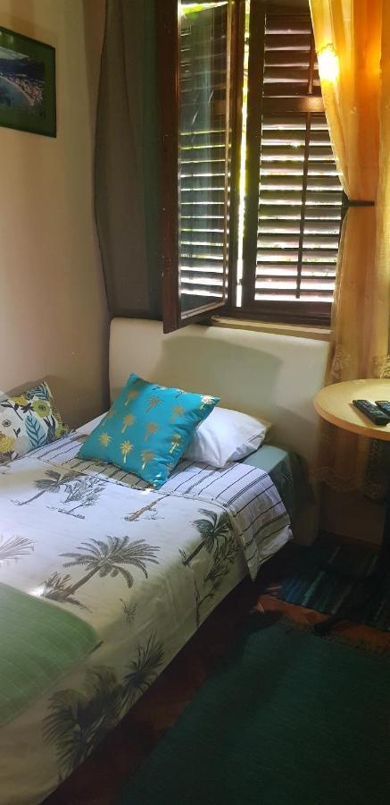 Single Room with Shower,1293223954:JPEG