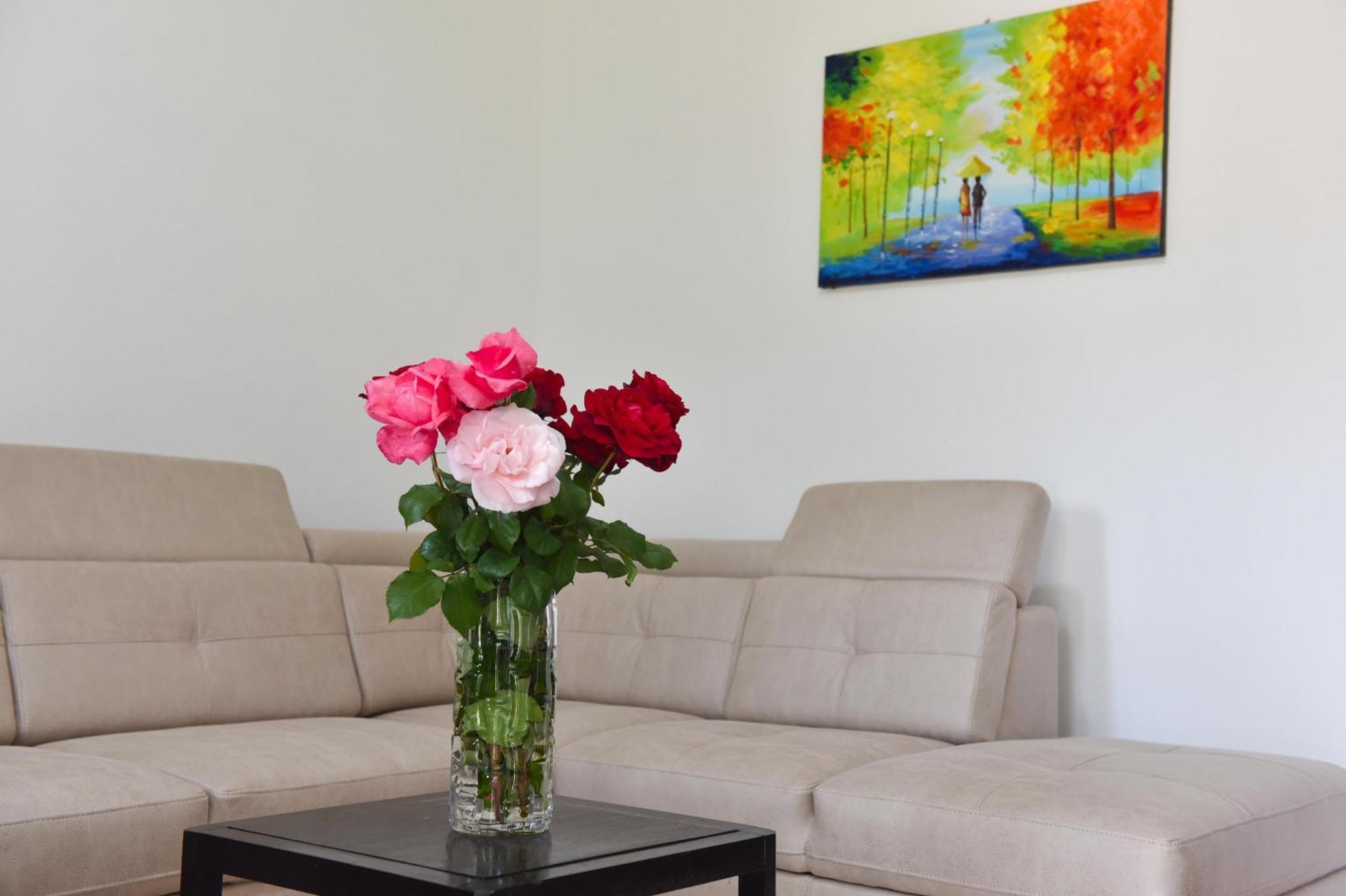 One-Bedroom Apartment with Terrace,1585500242:JPEG