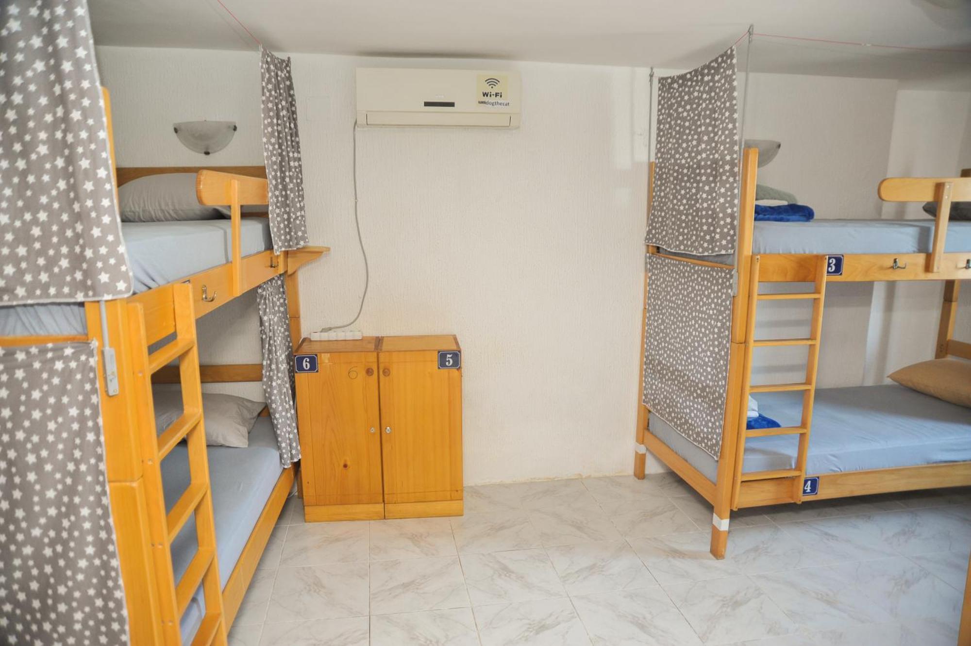 Bed in 6-Bed Mixed Dormitory Room