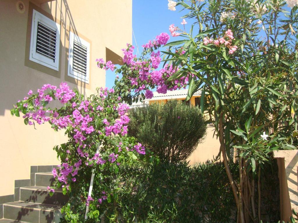 Studio with Terrace and Sea View,56523562:JPEG