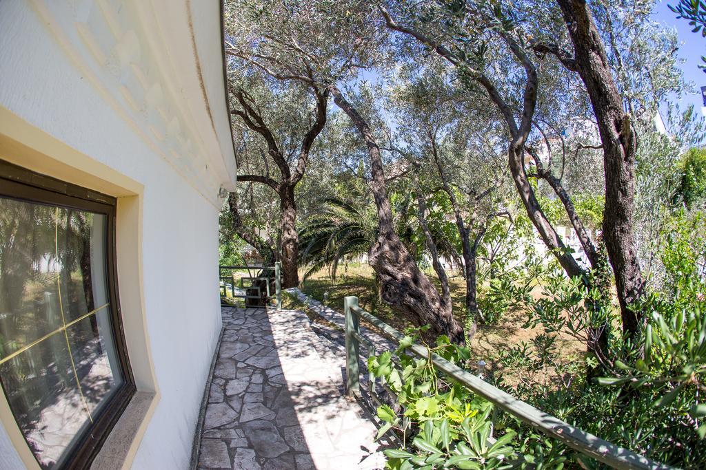 Villa with Sea View,421455324:JPEG