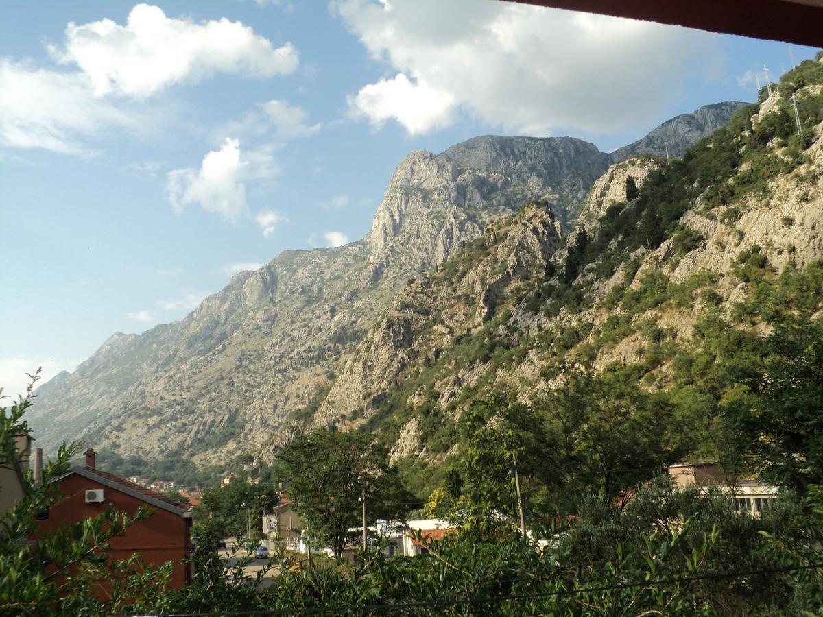 One-Bedroom Apartment with Mountain View