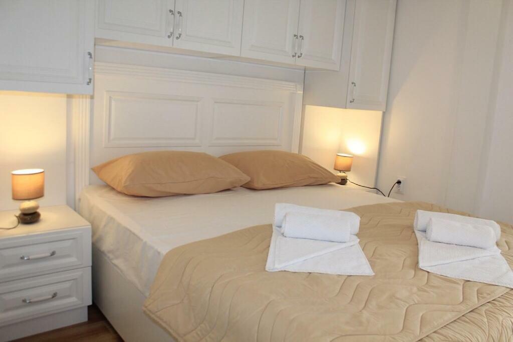 Standard Double Room,908726344:JPEG