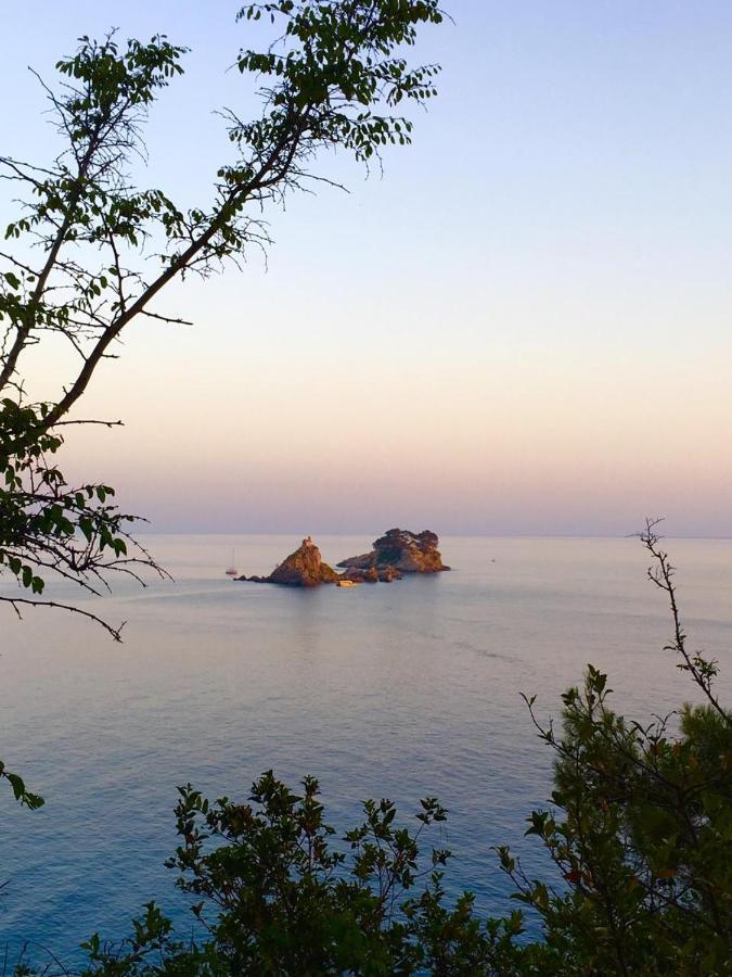 Special Offer - Double Room with Airport Shuttle,945166468:JPEG