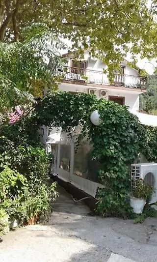 Pansion Mimoza-1