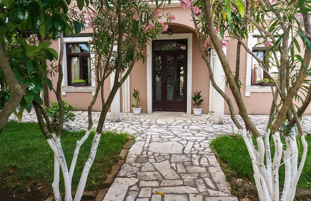 Tivat Star-1