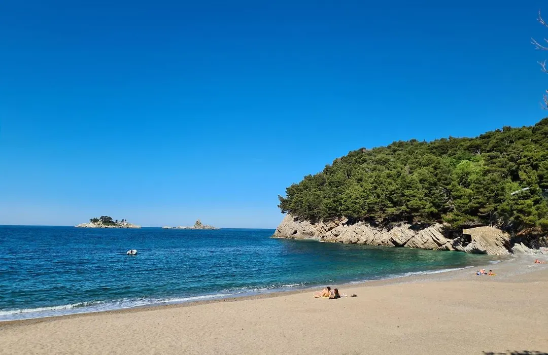 Palm Point Apartment-1