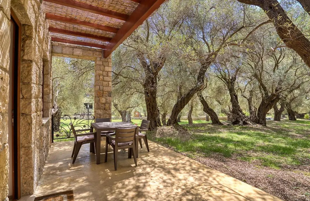 Stonehouse in Olives-1
