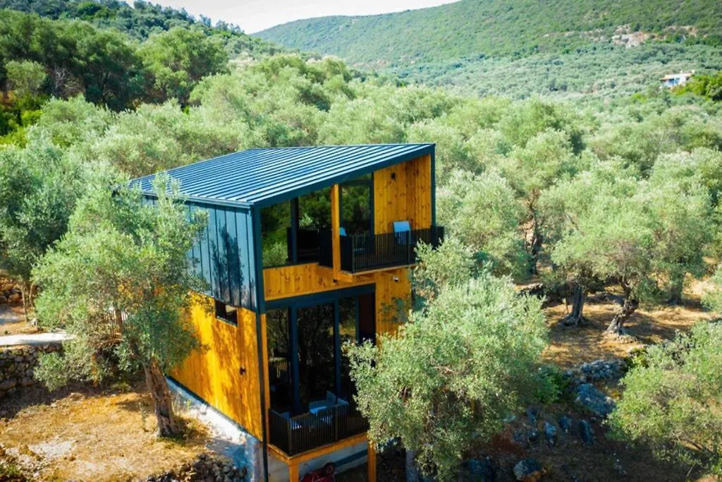 Casa Di Oliva-1