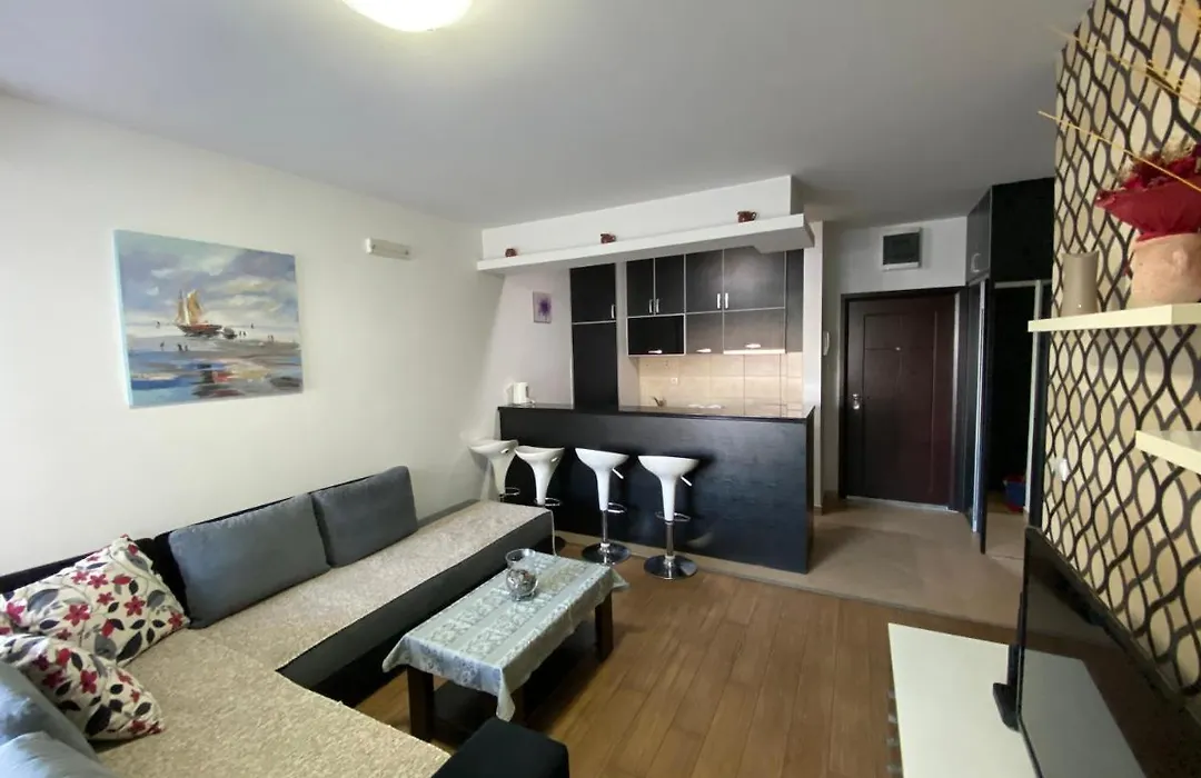 Dragan Apartment-1