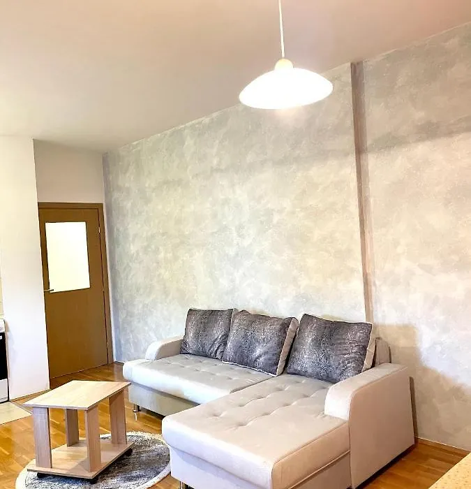 Naki Apartmani Podgorica-1