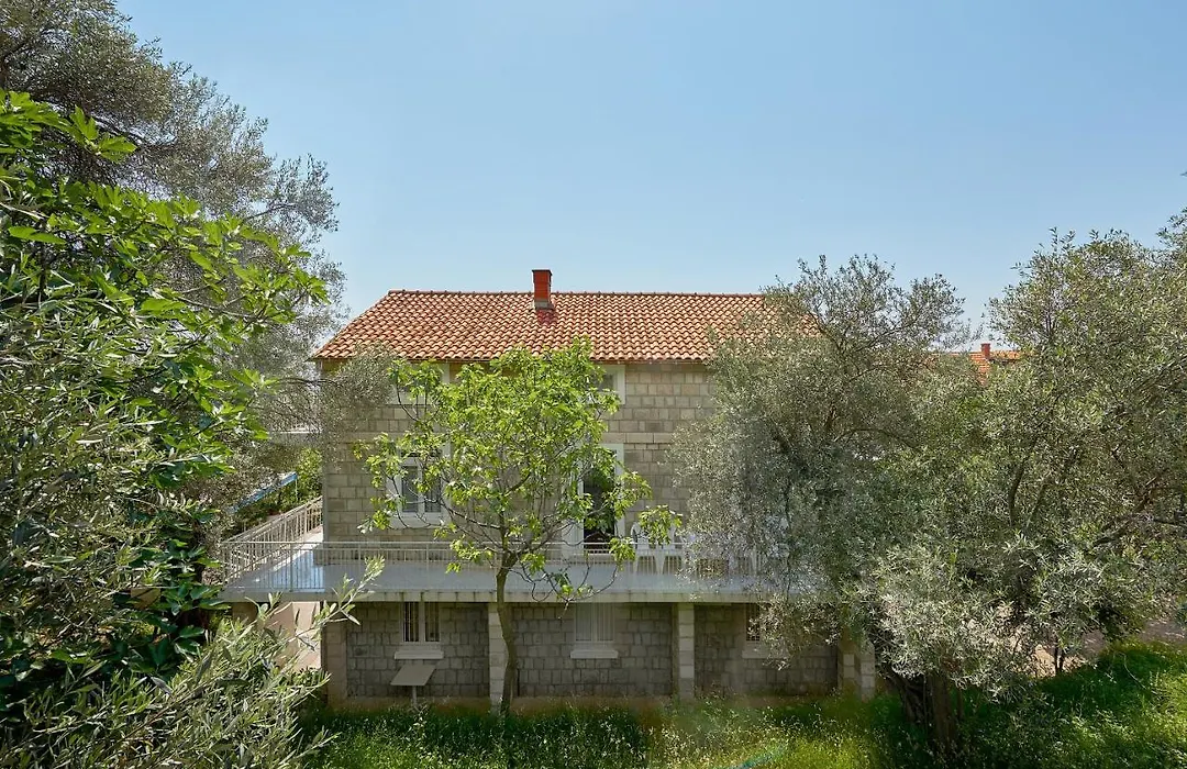 Apartmani Kuca U Maslinama-1