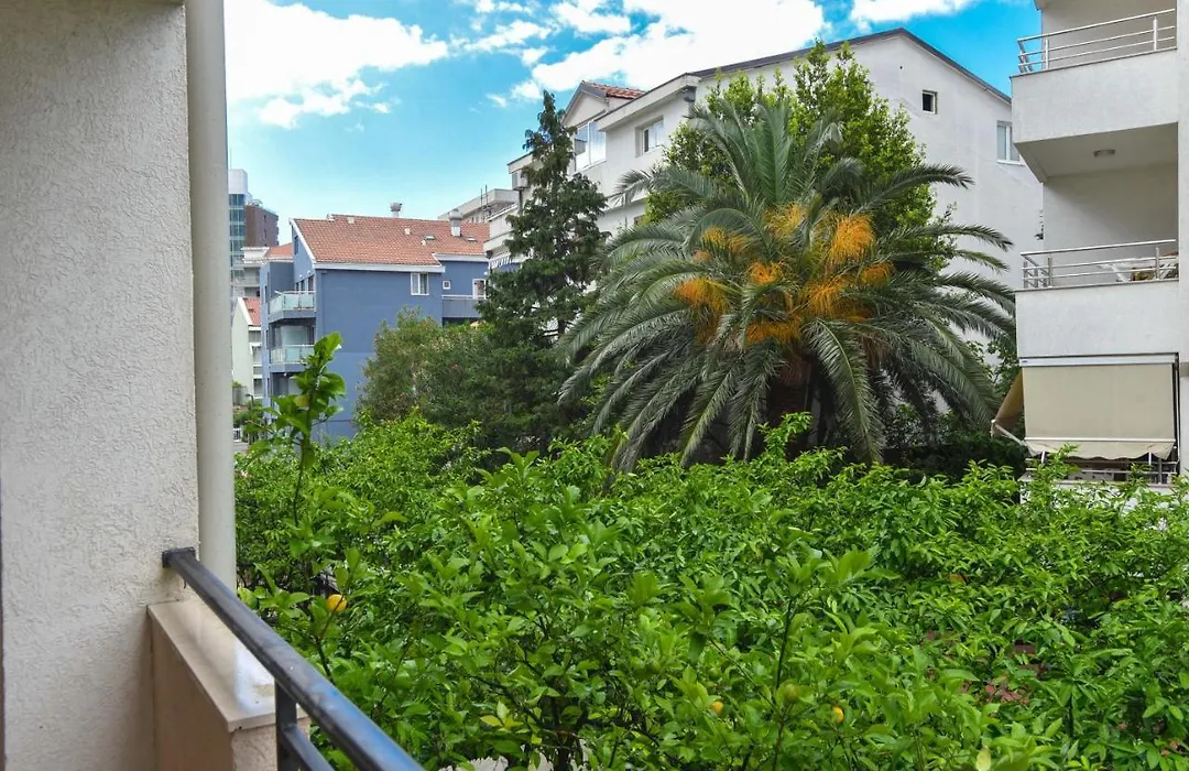 Villa Andrea-1