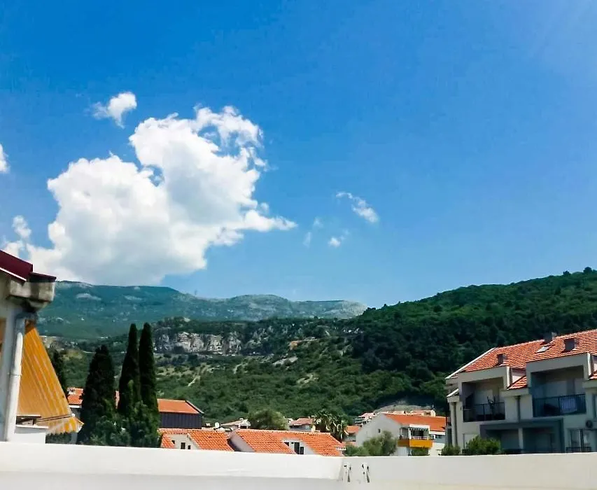 Mirko Apartments Budva-1