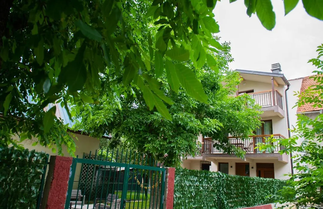 Guest House Alte-1