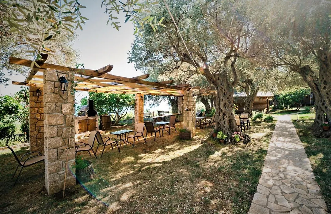 Holiday Park Olive Tree-1