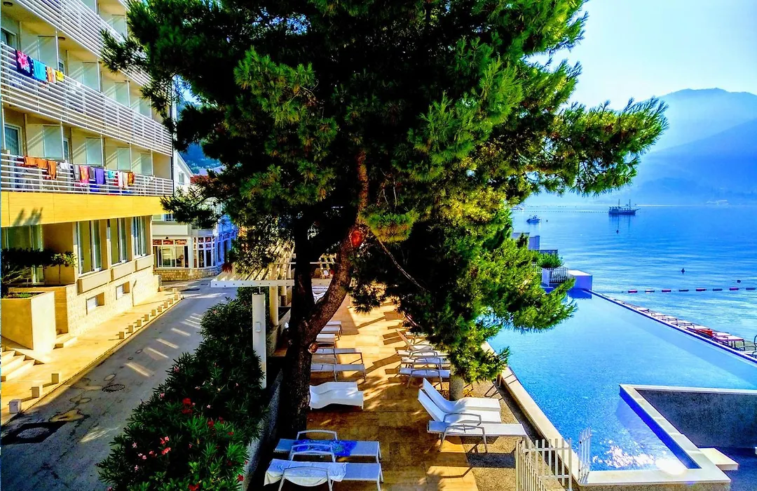 Carine Hotel Delfin-1
