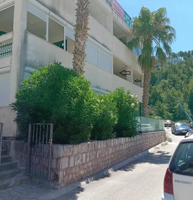 Apartments Mimoza-1