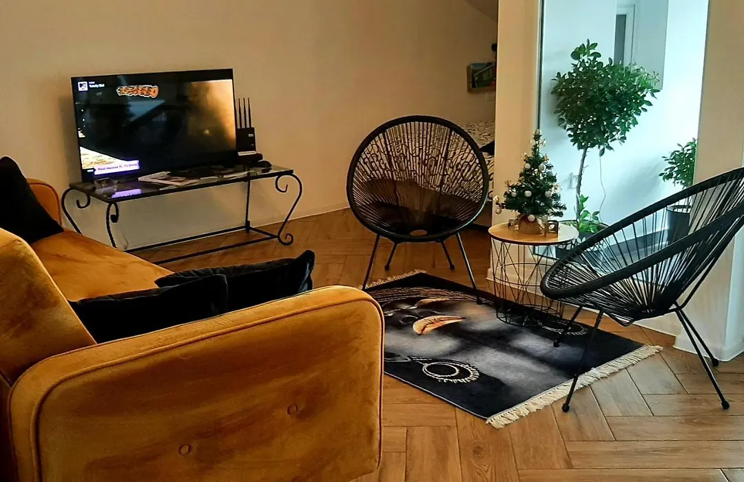 Ric Apartment Budva-1