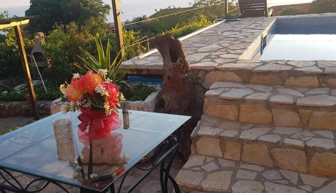Rustic Pool House Radovic-1