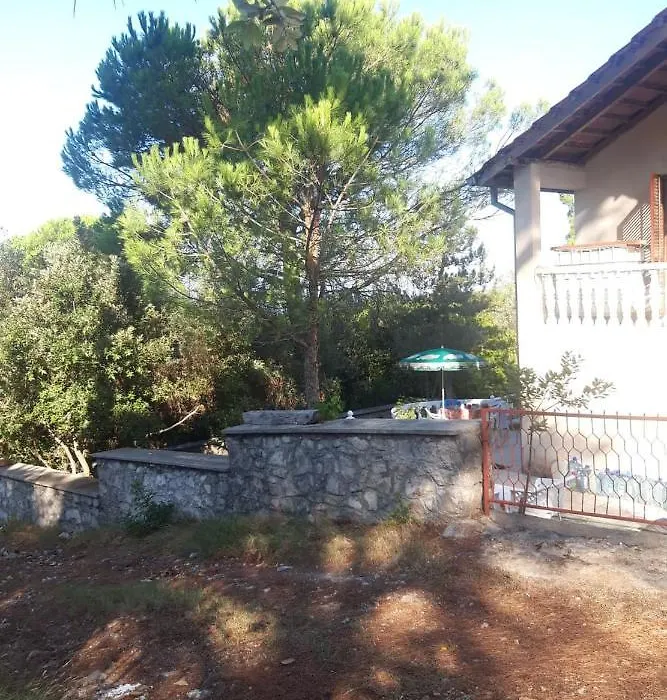 Vila Bor-1