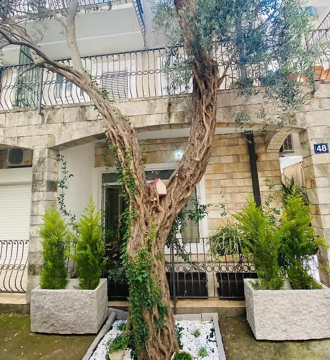 Apartment Oliva1-1