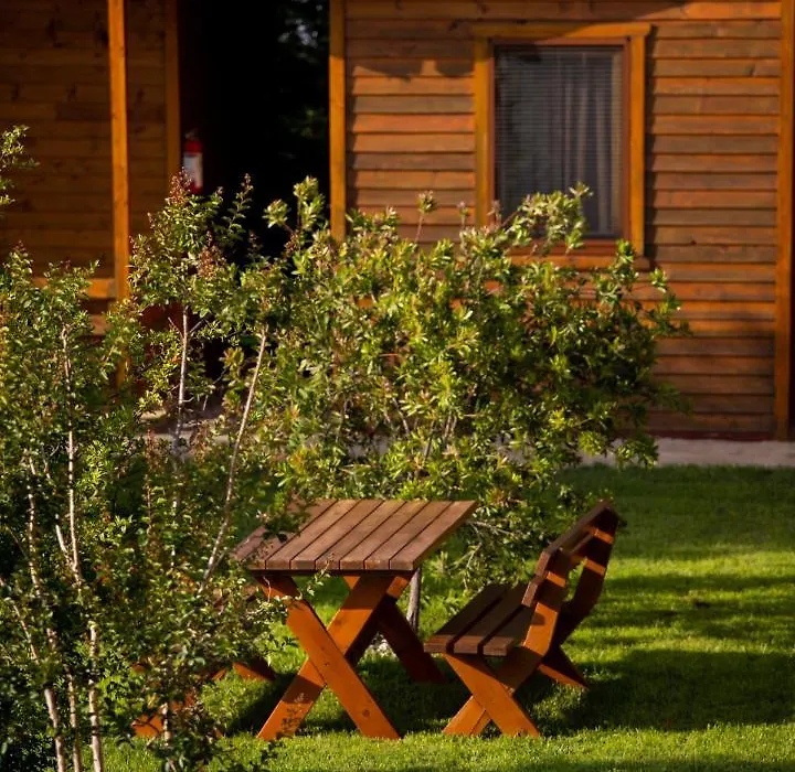 Sunny Garden Pansion-1