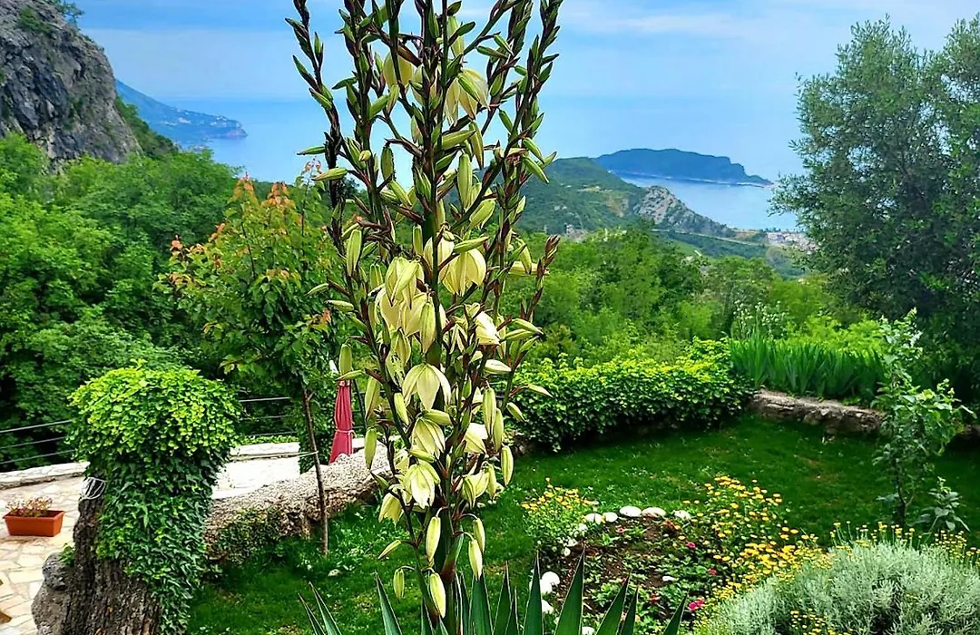 Villa Nera-1