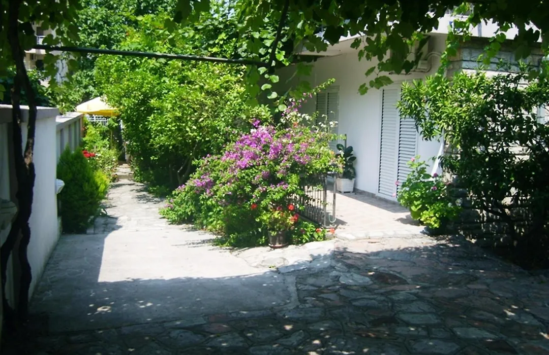 Apartments Markovic-1