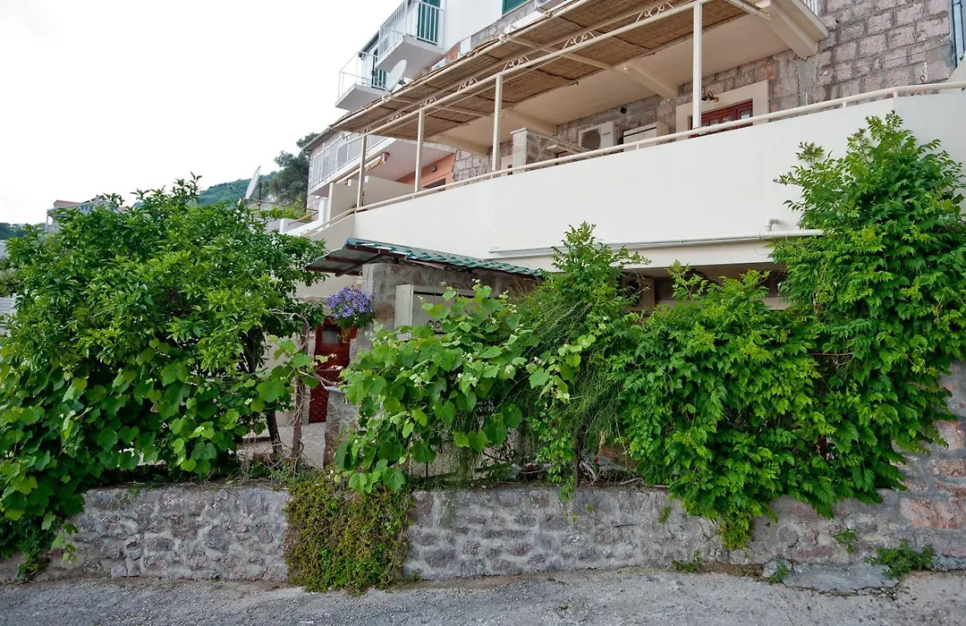 Medin Di Lastua-1