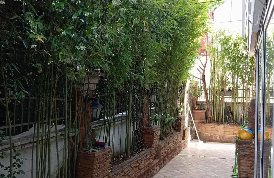 Apartman Twins Nedovic-1