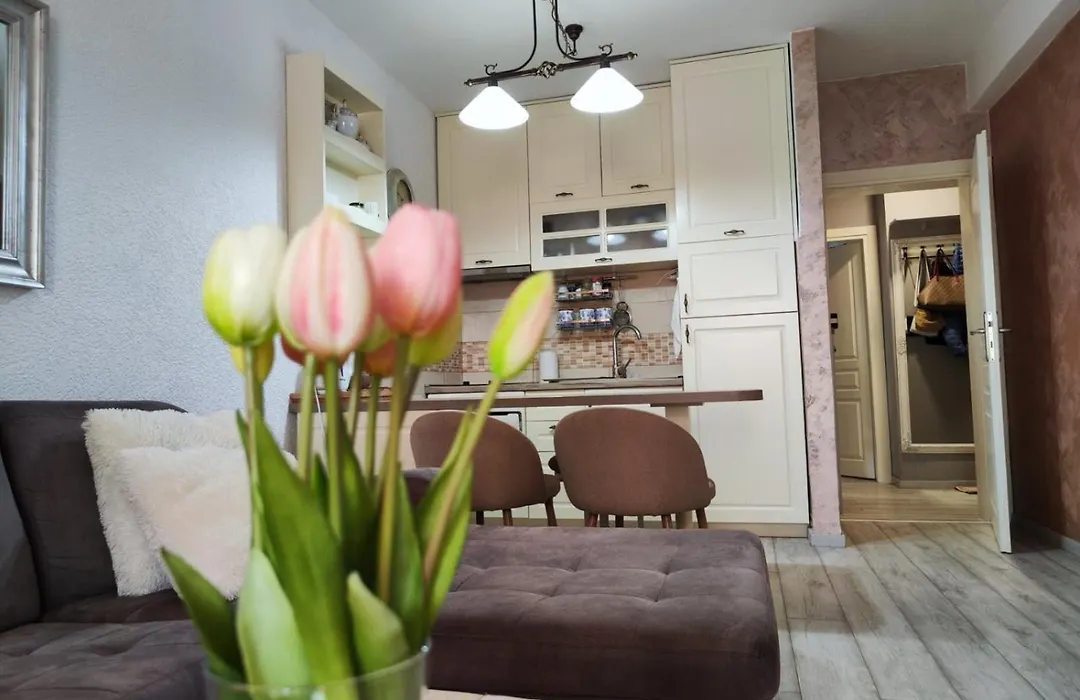 Apartment Tina III-1