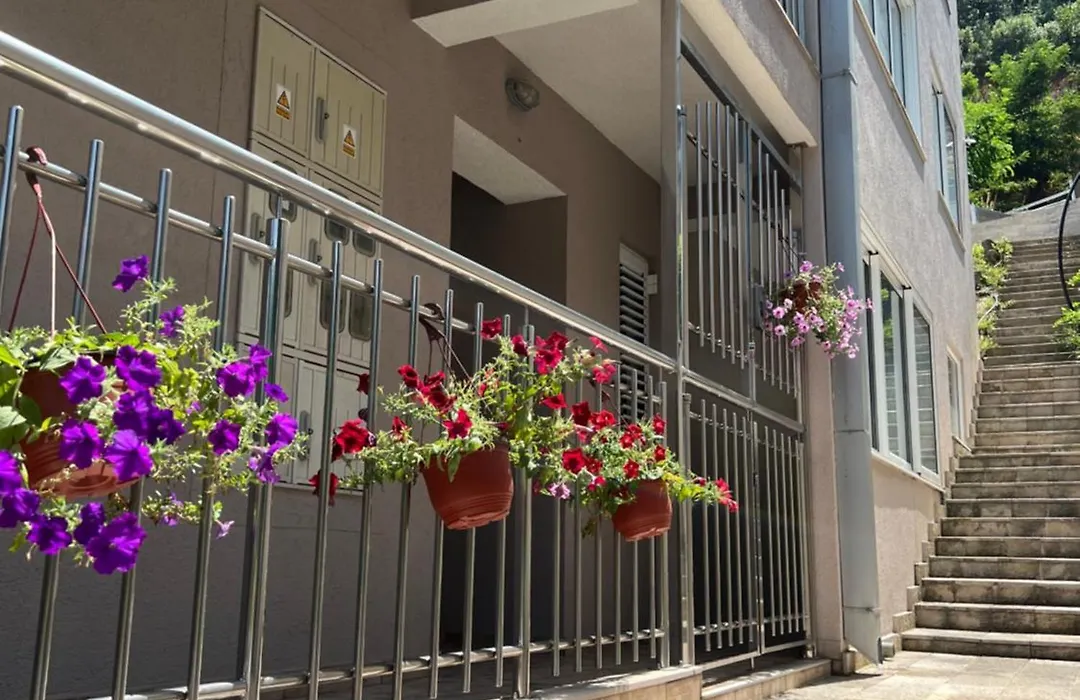 Guest House Mrvaljevic-1