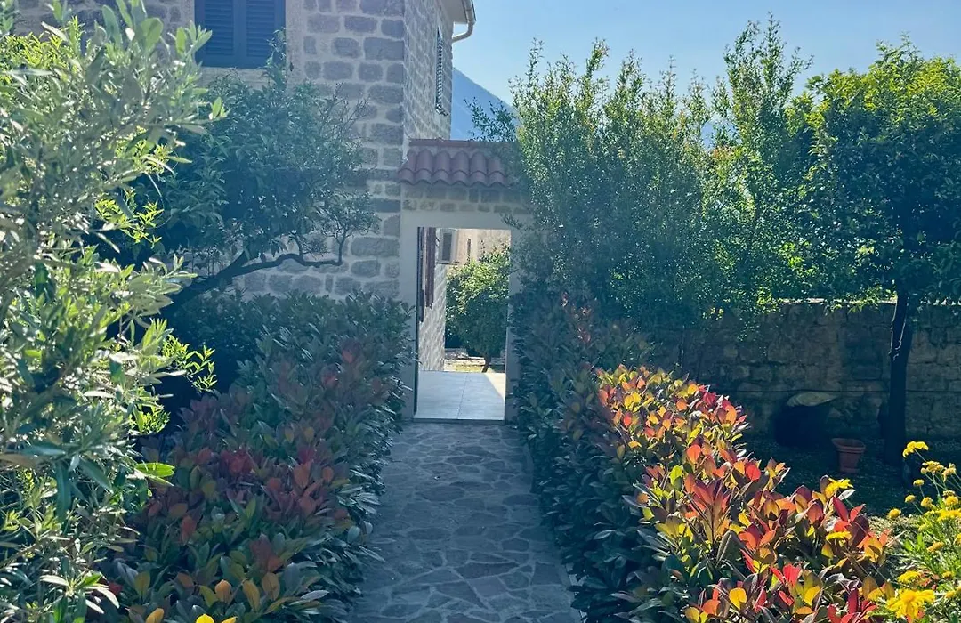 Apartments Radonicic-1