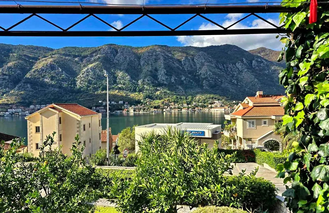 Apartmani Cetkovic-1