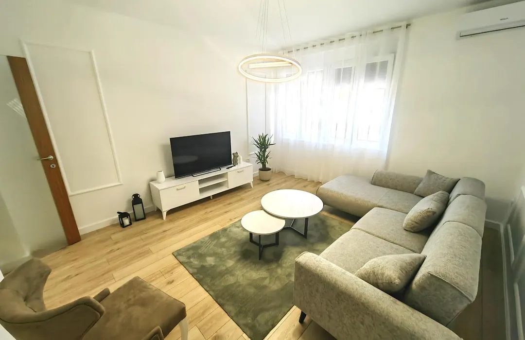 Luxury Apartment Podgorica-1