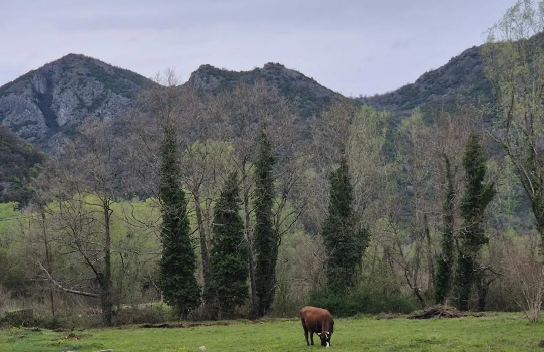 Sunny Valley Retreat Near Skadar Lake-1