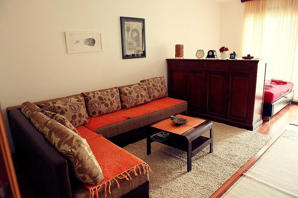 Studio Apartment Nika Andusa-1