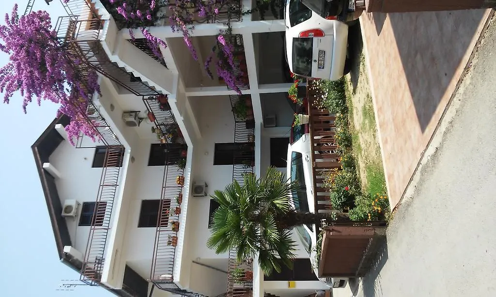 Apartmani Dado-1