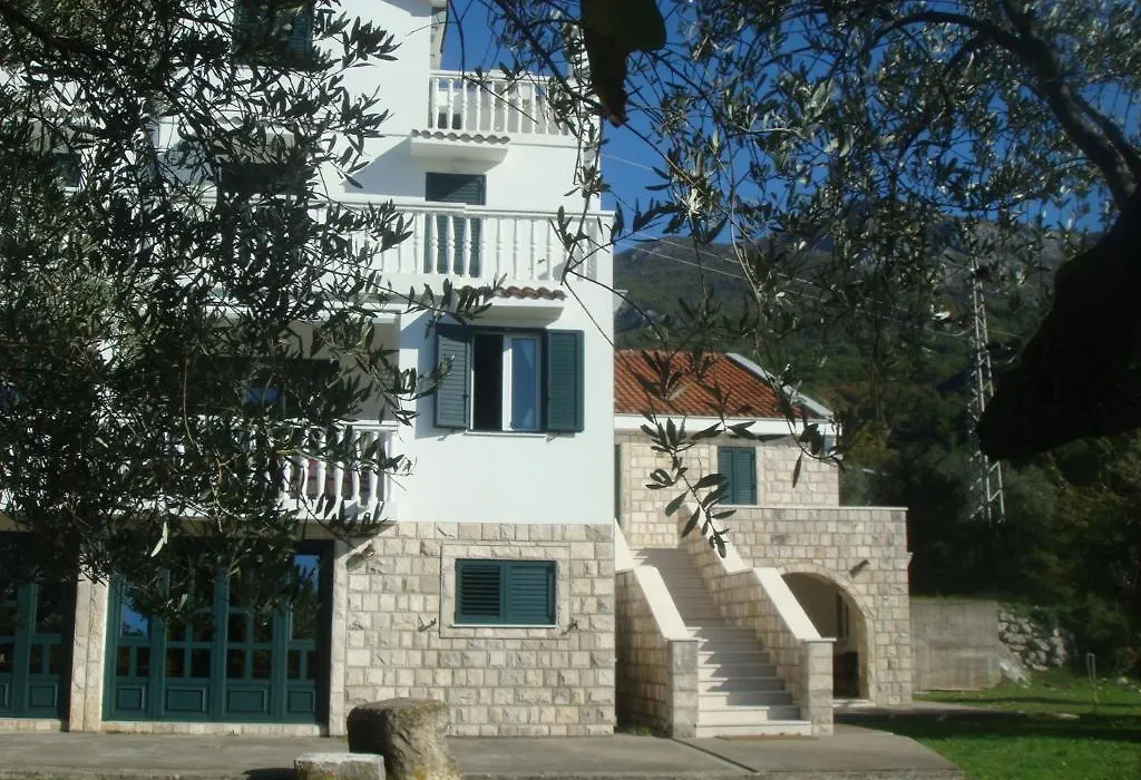 Apartmani Dragovic-1