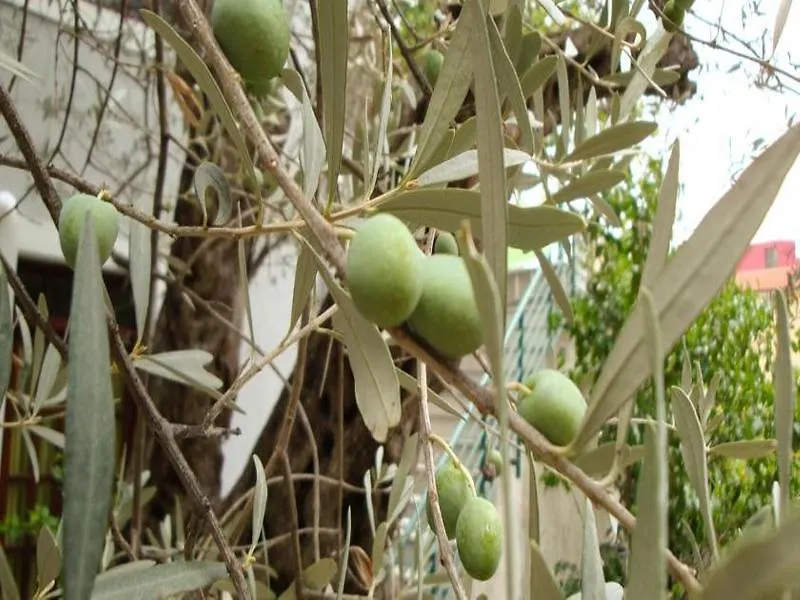 Casa Di Oliveto-1