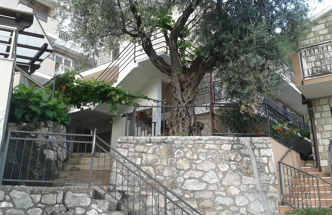 Apartment Teodora Lux-1