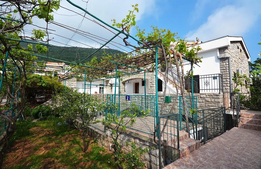 Apartments Jovana-1