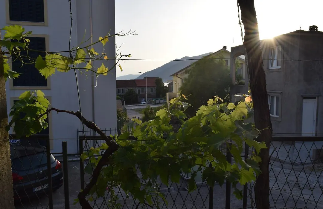 Apartment S&M-1