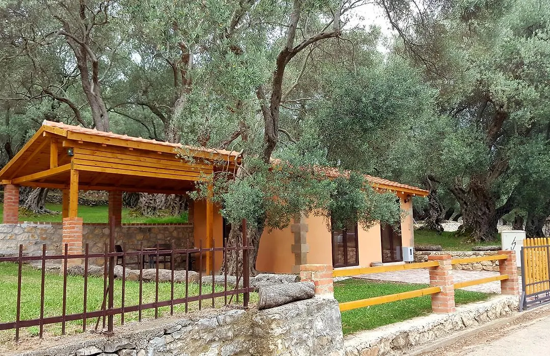 Olive Paradise-1