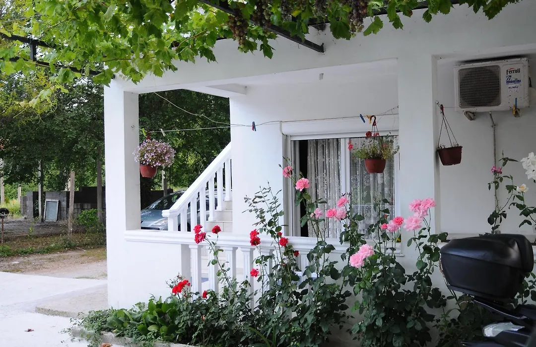 Guest House Markovic-1
