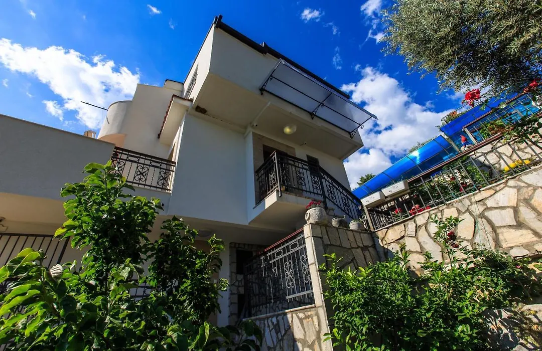 Zen Luxury Villa-1