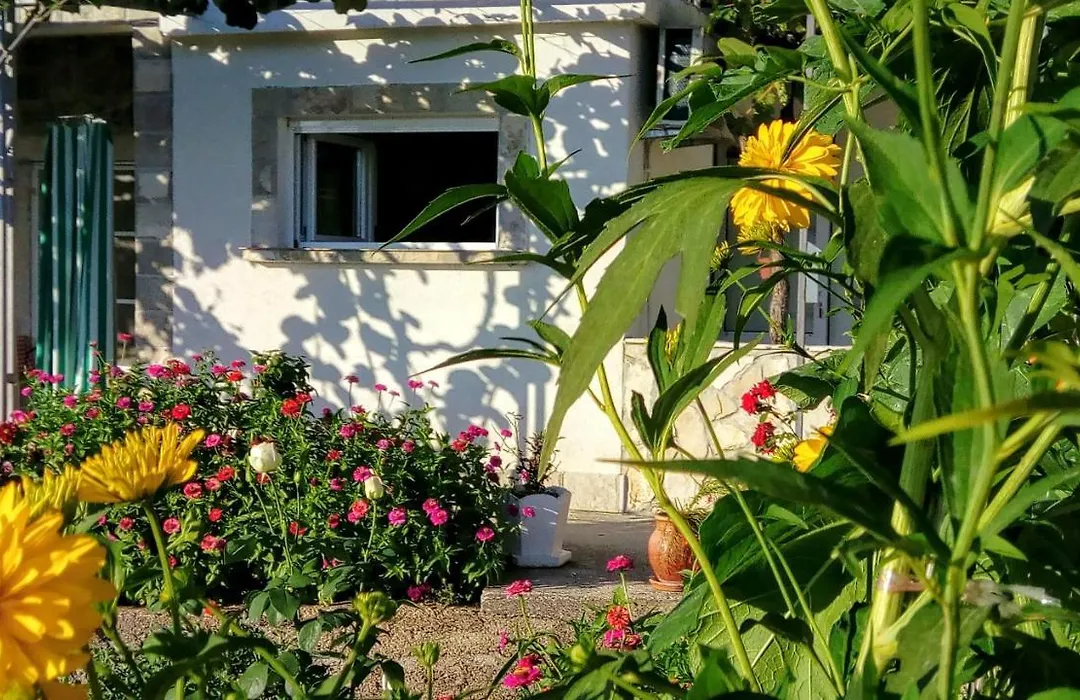Apartmani Bosco-1